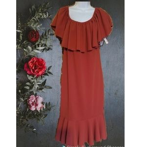 NWT Maroon LulaRoe Cici dress